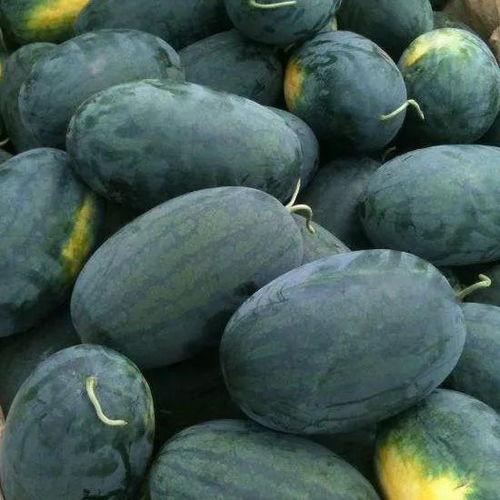 黑瓜吃料入口在哪里